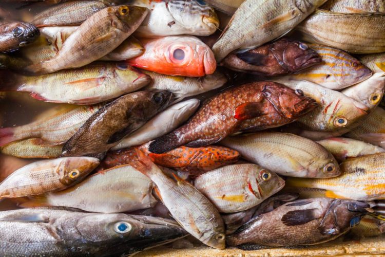 On mange quoi de bon en juin?