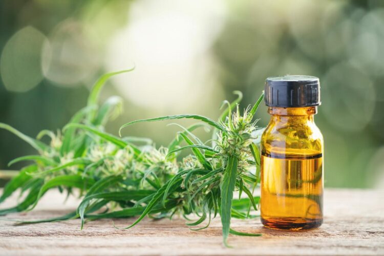 Le cannabis thérapeutique est-il bon pour la santé ?