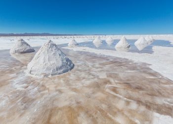 Consommer trop de sel peut être un danger pour le système immunitaire