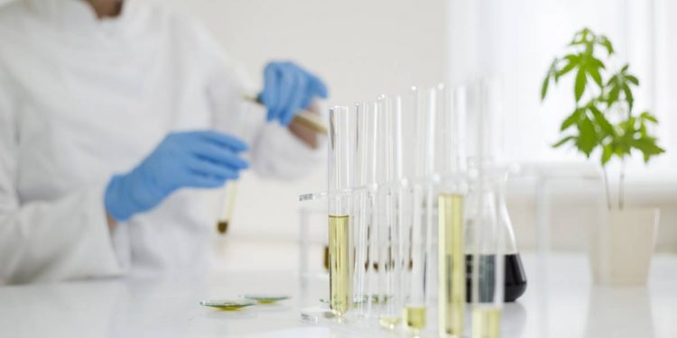 Comment sont analysés les produits au CBD ?