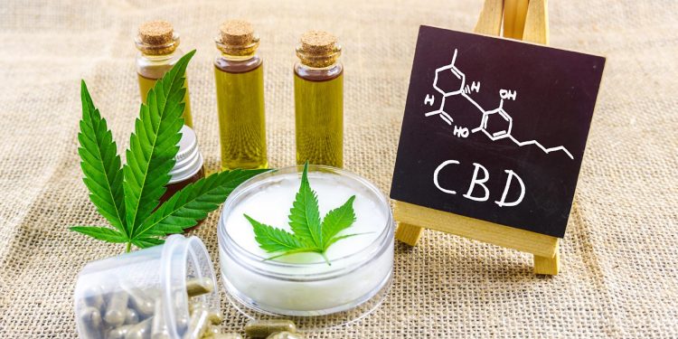 Le CBD : un effet de mode ?