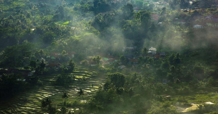 Quels vaccins lorsque l’on voyage dans les pays tropicaux ? 