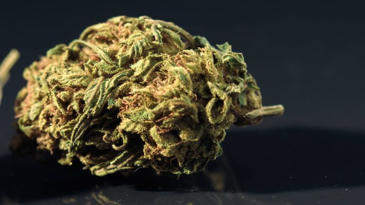 Les produits à base de CBD les plus vendus