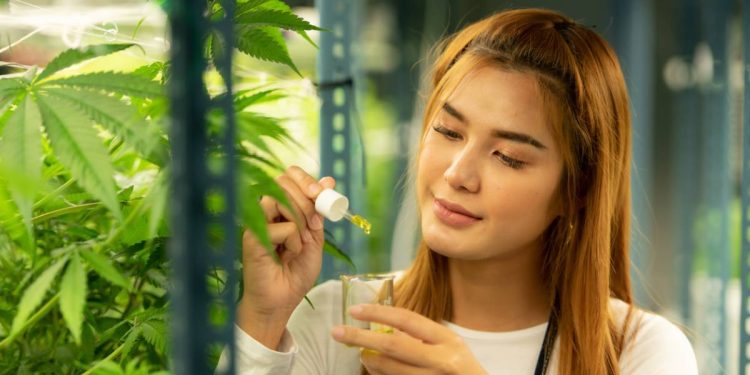 Les multiples utilisations de l&rsquo;huile de CBD