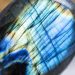 La labradorite est-elle une pierre difficile à trouver ?